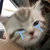 ciiiiiila