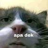 mboh.1123