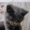 angelina_evgenjevna