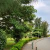 kwambai_08