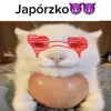 genius_japorzko