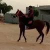 uosif98sghushhfajhsg