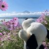 crista_019