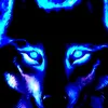 skylerwolf3580