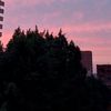 rahaf_mohamed55
