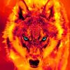 thedirewolfcanisdirus_1