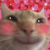 meoweyiii
