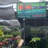 hoacaycanh.dalat
