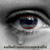 user363198648