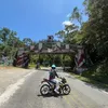 cjaycrisologo