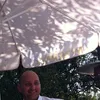 renek733