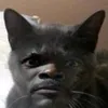 iyannnihboy