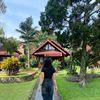icanasya_