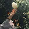 bui00_tuongvy