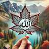 www.masbaimsamb