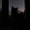 danay_uskar3