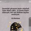 aciz_bir_kul_00