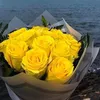cane_hanmo1