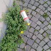 emaemaeamab