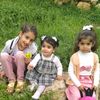 recepdogan448