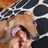 teddy_89.7