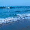 beachlover500