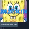 wwhwe
