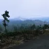 erfannn0516