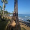 glorines_3