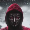 vasaoriginal1