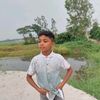 user5212369661209