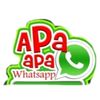 yolah_2022