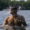 mo_di123321000