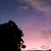 alikalala1