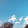 greennature24