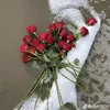 nassamatesakhiba