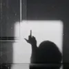 emmelychantal17