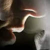 yanafire9