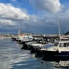 iab_71