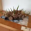 choisoonja43