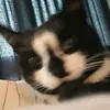 catgirlgmbh
