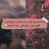 user7872262407256
