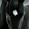 _johnadam_