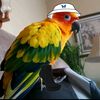 birbish_guy