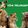 Vida selvagem