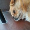 misha_yarema7