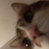 wity0u