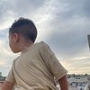 hanaaqassem0