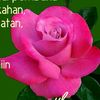salim030165