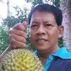 ham_cikam